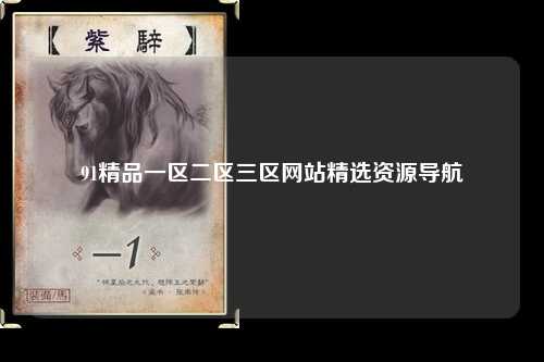 91精品一区二区三区网站精选资源导航