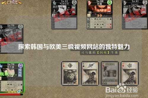 探索韩国与欧美三级视频网站的独特魅力