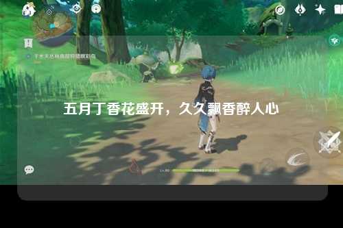 五月丁香花盛开，久久飘香醉人心