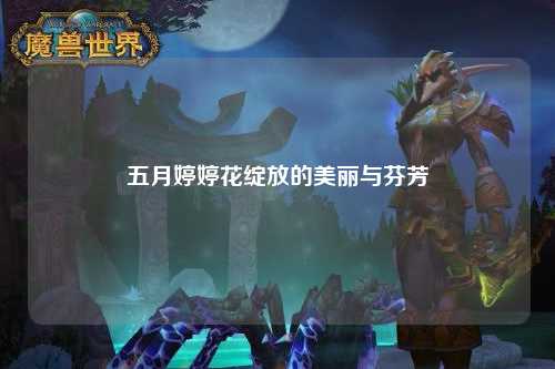五月婷婷花绽放的美丽与芬芳