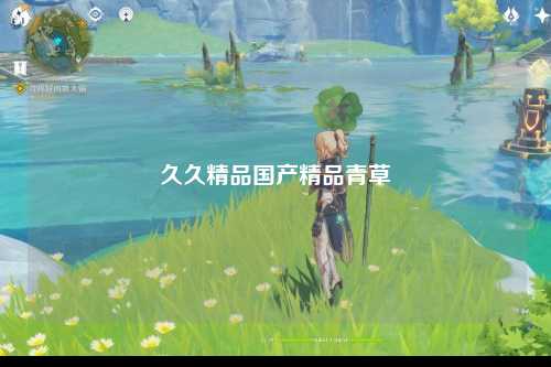 久久精品国产精品青草