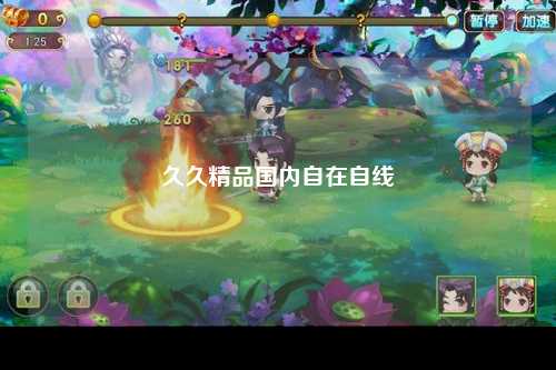 久久精品国内自在自线