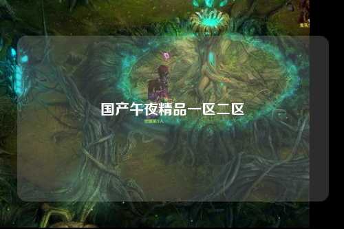 国产午夜精品一区二区