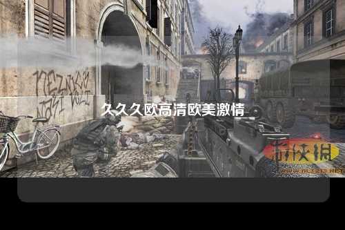 久久久欧高清欧美激情