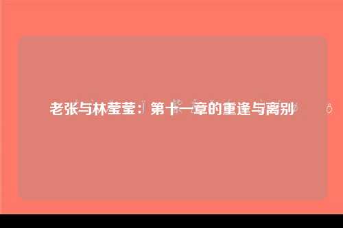 老张与林莹莹：第十一章的重逢与离别