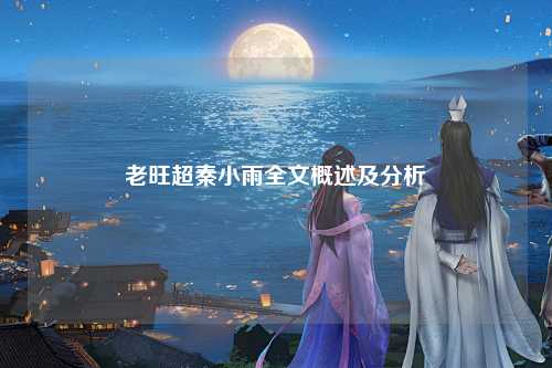 老旺超秦小雨全文概述及分析