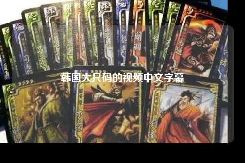 韩国大尺码的视频中文字幕