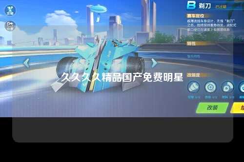 久久久久精品国产免费明星