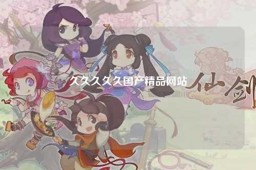 久久久久久国产精品网站