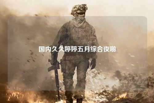 国内久久婷婷五月综合夜啪