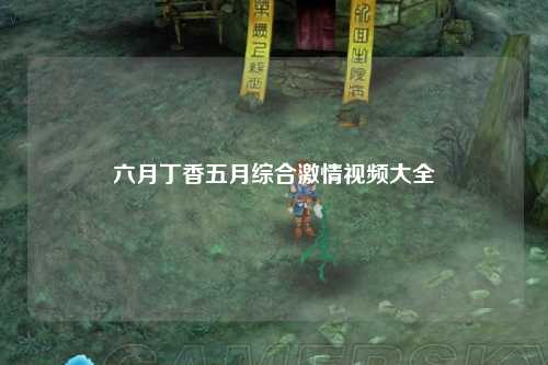 六月丁香五月综合激情视频大全