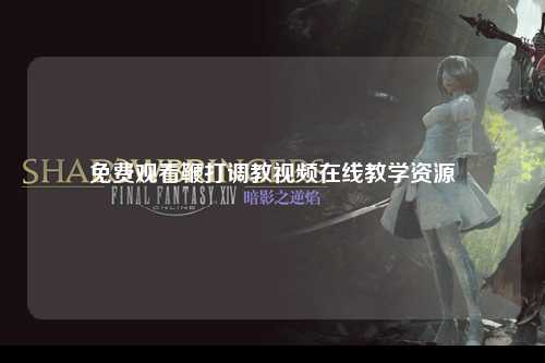 免费观看鞭打调教视频在线教学资源